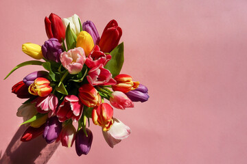 Colorful tulips flower bouquet on a pink background. Greeting card. Top view with copy space