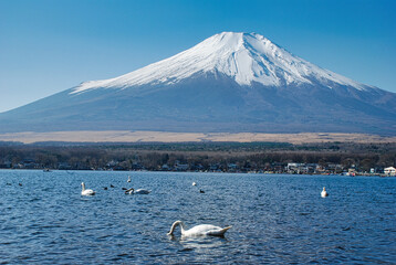 Japanese scenery - Mt. Fuji 