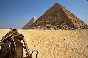 Horse buggy at pyramids in Giza, Egypt, Africa
