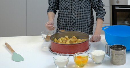 Boy cooking an apple pie