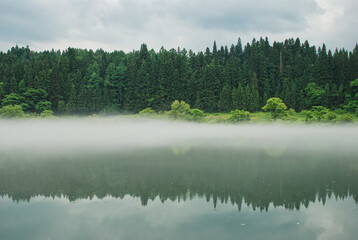 Japanese scenery - foggy lake in the forest