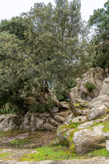 Mallorca | Nus de sa Corbata | Spanien | Sa Calobra | Serra de Tramuntana