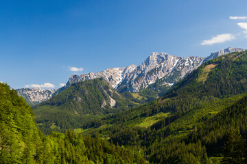 Fototapeta na wymiar National Park Kalkalpen in Austria