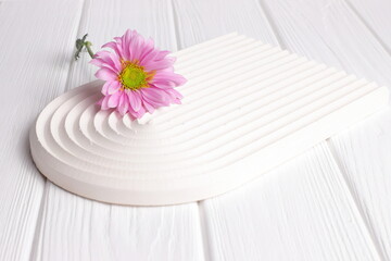 Pink daisy flowers on white wooden background