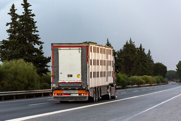 Truck with a cage semi-trailer for the transport of cattle driving on a highway, rear view.