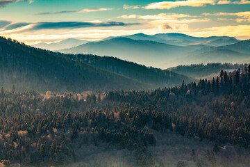 Awsome morning over the winter mountain forest, Bieszczady Mountains, Poland