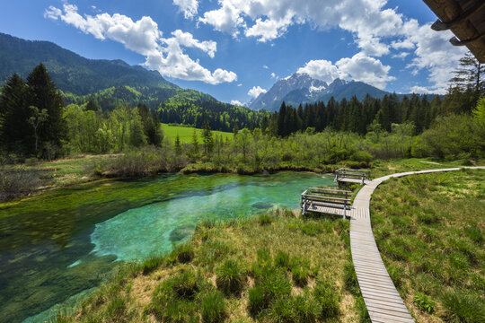 Spring landscape in Zelenci, Slovenia