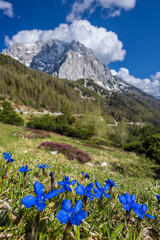 Landscape near Vrsic, Triglavski national park, Slovenia