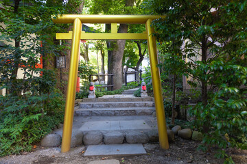 Fototapeta na wymiar A traditional gate at Japanese Shrine