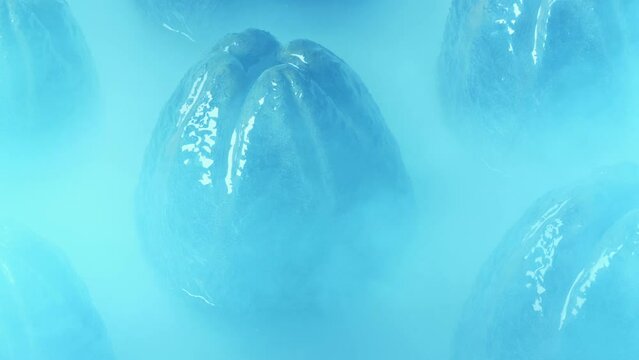 Alien Eggs In Cold Environment With Mist Blowing Around