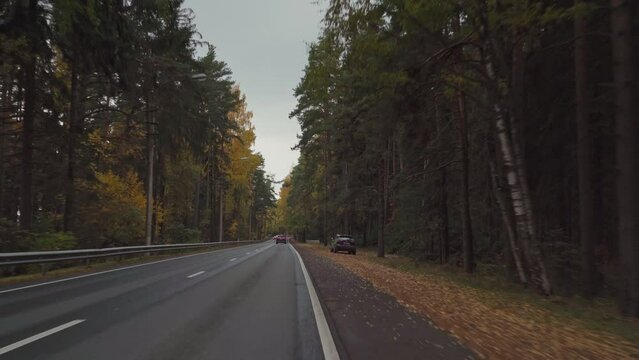 4k: Driving a car along an autumn suburban road Zelenogorsk, Saint-Petersburg, Russia