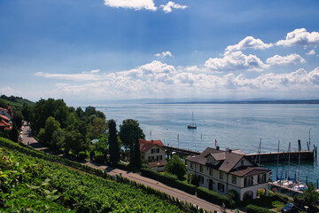 view of the lake Constance with a road and houses in foreground