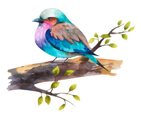 Watercolor drawing of a bird on a tree branch. A beautiful bird sits on a tree branch
