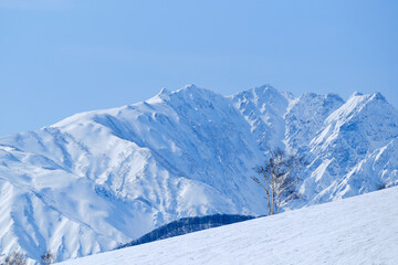 Obraz premium snow covered mountains in Hakuba, Japan