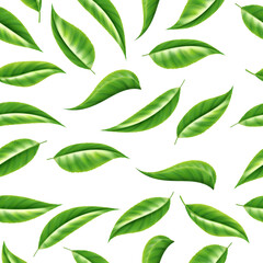 Tea seamless pattern. Organic green leaf, healthy drink frame, japan powder for chinese restaurant menu or banner vintage background. 3d isolated elements. Product wrapping. Vector illustration