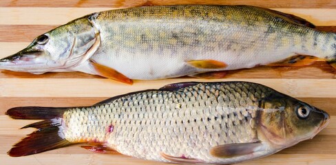 Uncooked fish on cutting board in meal preparation concept