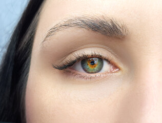 Obraz premium close up of women's eye with eyelash extensions in beauty salon macro eye