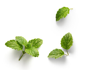 Naklejka na ściany i meble fresh mint leaves with real transparent shadow isolated on transparent background