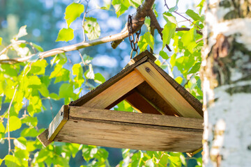 Wooden bird feeder hanging on the branches of a green tree in the park