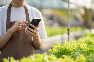 Young male famer using his mobile phone while working in the green vegtable hydroponics farm.