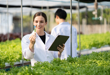 Young beautiful scientist looking at a mineral and water sample at a hydroponic.lettuce crop, holding green test tube in her hand while working.