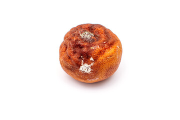 Rotten tangerines isolated on white background. Mildewed oranges. Moldy fruits.