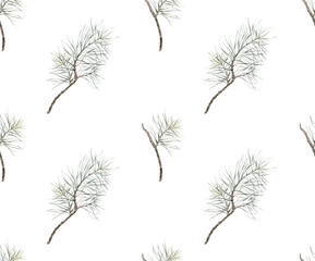 Pattern with pine branch. Botanical natural forest theme. Watercolor isolated illustration on white background. Seamless pattern, an illustration for postcards, posters, textile design and other.
