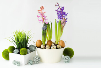 Decorative Easter composition of spring hyacinth flowers and Easter eggs. Decorations for home and office. Easter bright holiday concept. Front view, foreground.