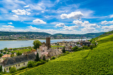 Ruedesheim am Rhein, Rudesheim, Rheingau-Taunus-Kreis, Darmstadt, Hessen, Germany
