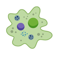 Amoeba cell. Small unicellular animal. Virus and bacteria. Education and science. Flat cartoon illustration