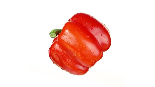Fresh juicy ripe red bell pepper with green peduncle covered with clear water drops turns around slowly on white background