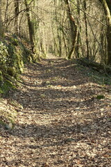 Chemin de randonnée du Saillant (Corréze)