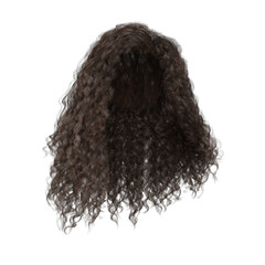3d rendering curly brown hair isolated