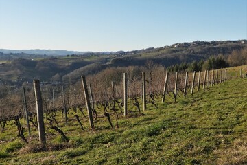 Les côteaux du Saillant (Corrèze)