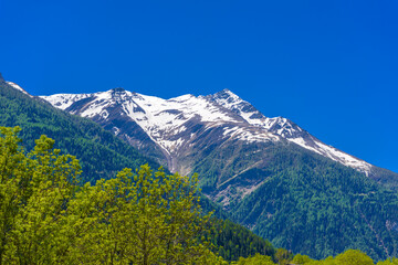 Fototapeta premium Alp mountains with forest and fields, Fiesch, Goms, Wallis, Valais Switzerland