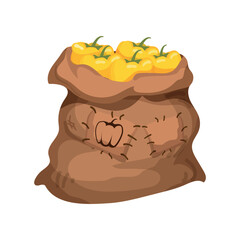 Bag filled with vegetable. 