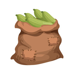 Bag filled with vegetable. 