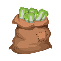 Bag filled with vegetable. 