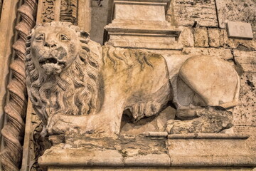 perugia, italien - steinl&ouml;we am palazzo dei priori