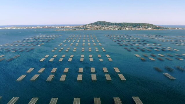 Aerial panorama of oyster tables in Bouzigues on the Thau lagoon, in Hérault in Occitanie, France