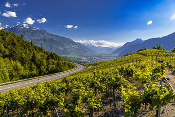 Road and vineyards in mountains, Leukerbad, Leuk, Visp, Wallis, Valais