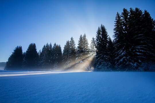 Sunlight Play