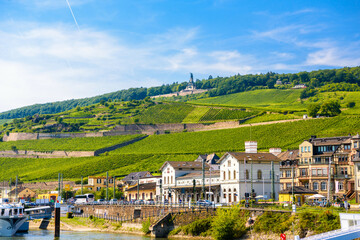 Niederwald monument and vineyards in Ruedesheim am Rhein Rhine, Rudesheim, UNESCO World Heritage...