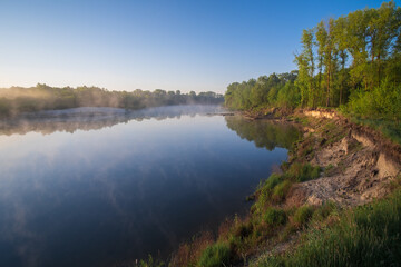 lake in the forest