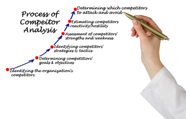  Components of Process of Compeitor Analysis