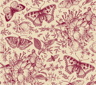 Seamless pattern Flowers. Butterflies moths insect fly Blooming Dogrose Rosehip wild rose realistic isolated Vintage fabric background Set Wildflowers. Drawing engraving Vector victorian Illustration 