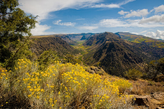Big Indian gorge in the steens mountains in south central Oregon near Frenchglen Oregon