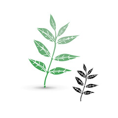 Floral set with herbs, leaves, Branch and plants. Botanical vector illustration vintage collection, isolated in white background.