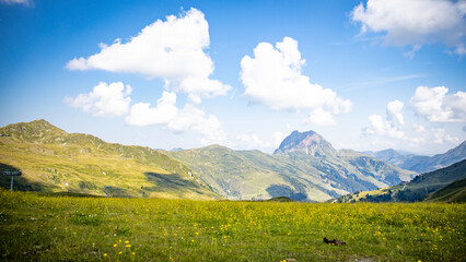 green meadow with mountain panorama and blue sky