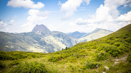Fototapeta na wymiar green summer alps panorama in austria